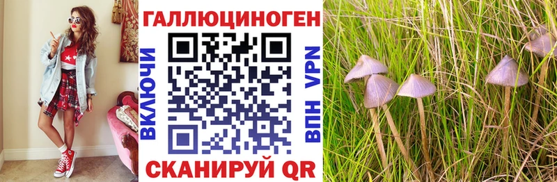 shop официальный сайт  Ржев  Галлюциногенные грибы ЛСД 